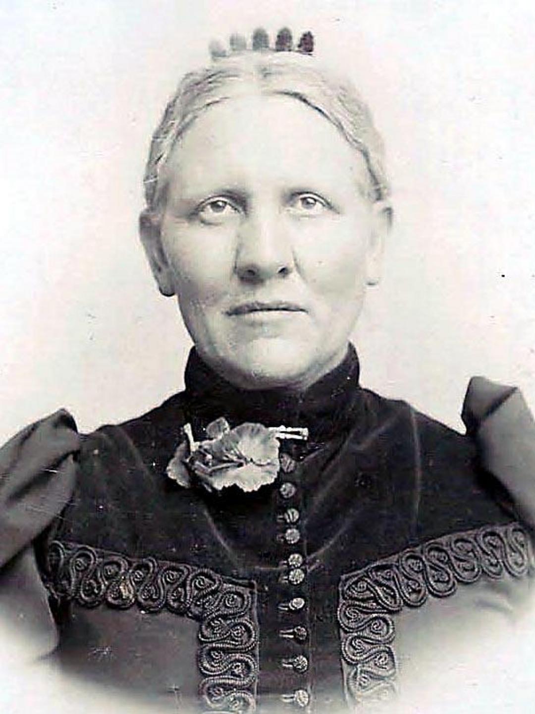 Partha Ann Barney (1850 - 1928) Profile